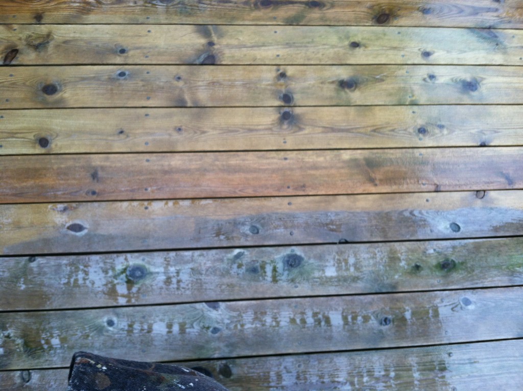 IMG_0680 DMS Painting